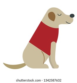 Dressed dog flat illustration. Home dog and cat lifestyle series.