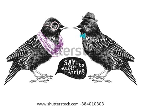 dressed up hand drawn starling couple