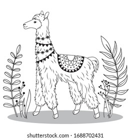 Dressed lama with leaves. 
Vector black outline. 