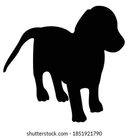 Drever Dog Silhouette Animal Vector Illustration.