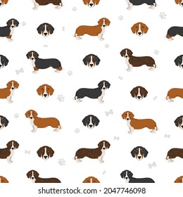 Drever seamless pattern. Different poses, coat colors set.  Vector illustration