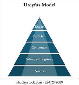 Dreyfus Model in a Pyramid Infographic template