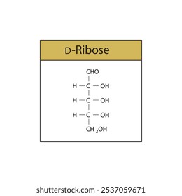 Diagrama de la estructura esquelética de la D-ribosa. Ilustración científica de la molécula compuesta de azúcar.