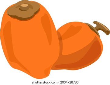 Dride Persimmon,  Autumn Taste Icon Illustration , Vector Image