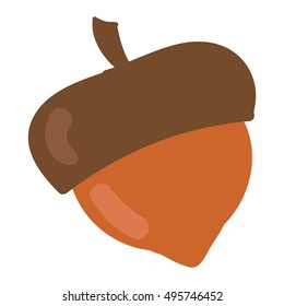 Dried acorns flat vector illustration
