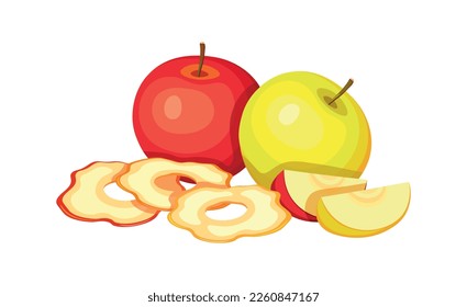 Dried apples and fresh apples isolated on white background. Vector illustration of delicious fruit in cartoon style.Dried apples icon. A set of fresh and dried apples. Design element,logo.Apple chips