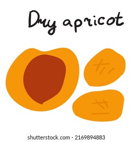 Dried apricot. Hand drawn food illustration. Flat vector graphic design.