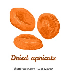 Dried apricot isolated on white. Vector dried fruits in flat style. Concept for fruit shop or market. Icon. Healthy dessert or ingredient.