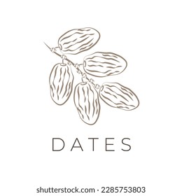 Dried Arabic Date Fruit Line Art Illustration Logo