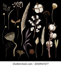 Dried autmn flowers isolated. Vector