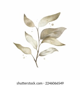 Dried autumn leaves isolated on white background. Botanical poster design. Home decor