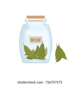 Dried bay leaves stored in clear jar isolated on white background. Piquant condiment with pungent smell, food spice, cooking ingredient in transparent kitchen container. Colored vector illustration.