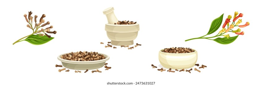 Dried Brown Cloves Condiment and Fragrant Spice Vector Set