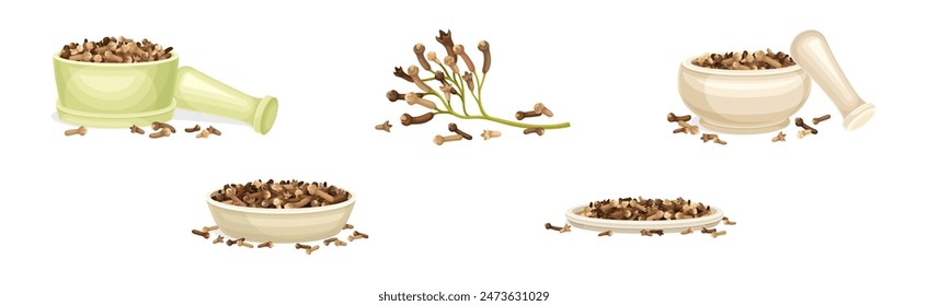 Dried Brown Cloves Condiment and Fragrant Spice Vector Set