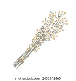 Manojo de hierbas de manzanilla secas aislado en blanco. Ilustración aislada del vector