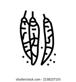 dried chili pepper line icon vector. dried chili pepper sign. isolated contour symbol black illustration