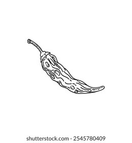 Dried Chili Pepper Vector Image, Dry Chilli Pepper Vector Image, Spice Chili Pepper drawn doodle, Line Art Dried chili Vector.