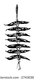 Dried Chili Peppers on String Ristra Silhouette