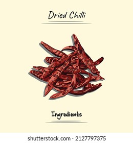 Dried Chilli Illustration Sketch And Vector Style. Good to use for restaurant menu, Food recipe book and food ingredients content.