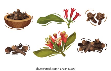 Dried Clove in Bowl and Blossomed Flower Buds Vector Set