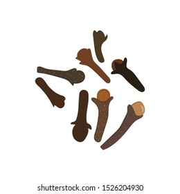 Dried clove isolated on a white background.