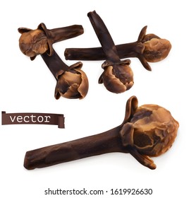 Dried cloves. 3d realistic vector