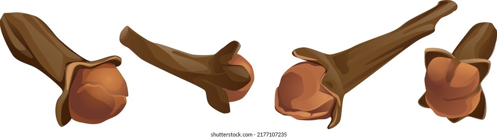 Dried cloves. 3d realistic vector. spice clove, highlighted on a white background spice clove