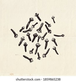 Dried cloves, aromatic flower buds, vintage graphic illustration 