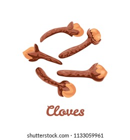 Dried cloves isolated on white background. Vector illustration in flat style. 