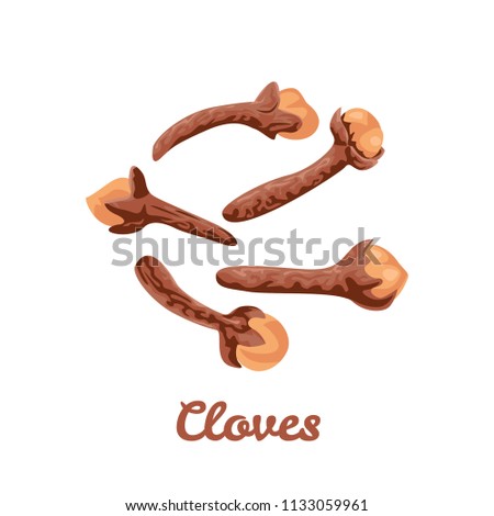 Dried cloves isolated on white background. Vector illustration in flat style. 