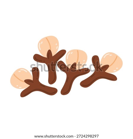 Dried Cloves Spice, baking, aromatic, cooking
