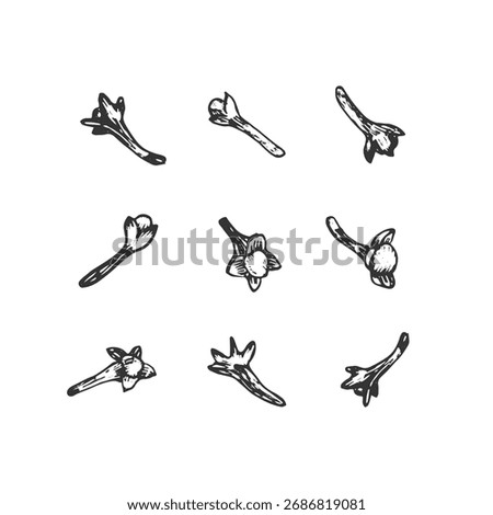 Dried cloves spice. Hand-drawn ink vector illustration. Design element for labels, recipes, and menus.