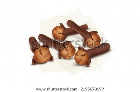 Dried Cloves Spices vector illustration isolated on white background