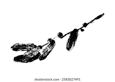 Dried dates drawings. Vector dried date symbol. Hand-drawn date fruit illustration with charcoal drawing texture. Branch date fruits sketch.
