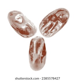 Dried dates three pieces, isolated, from circle dot of different sizes on white background