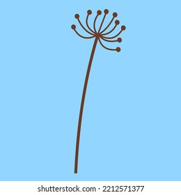 Dried dill stalk, illustration, vector