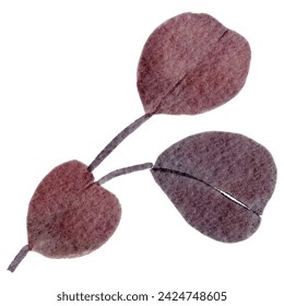 Dried eucalyptus leaves watercolor painting ,illustration