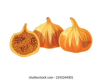 
Dried figs isolated on a white background. Vector illustration of sweet fig half and whole in flat style. Fig sweet dessert icon. Healthy snacks