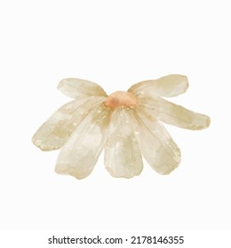 Vector marrón estético de flor seco