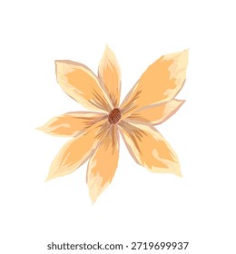 flores secas no outono sem fundo
