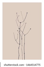 Flores secas Ilustración. Arte vectorial botánico.