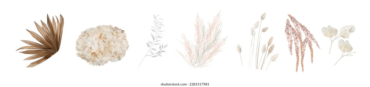 Dried flowers, leaves. Beige hydrangea, cream pampas grass, dry palm leaves, lagurus, lunaria branches. Watercolor style, vector illustration. Wedding invite, decorative bouquet. Editable elements set