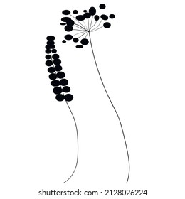 Dried flowers in a minimalist, concise manner for designs