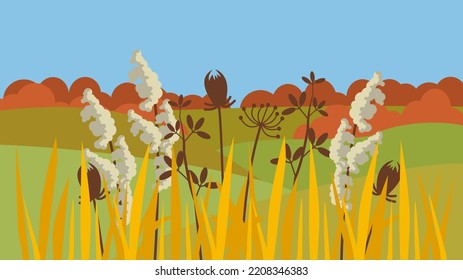 dried flowers on the background of autumn nature
