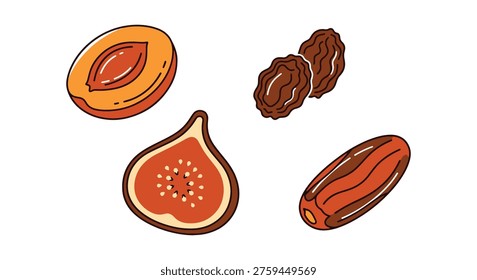 Dried Fruit Line art vector flat modern abstract