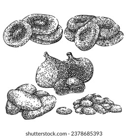 Trockenobst-Set handgezeichnet. gesunde natürliche, organische Ernährung, vegetarisch getrocknete Fruchtskizze. einzelne schwarze Illustration