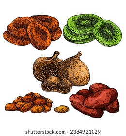 dried fruit set hand drawn. healthy natural, organic nutrition, dessert vegetarian dried fruit vector sketch. isolated color illustration