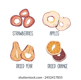 Dried Fruits And Berries. Strawberries, Apple, Pear And Orange, Preserved Through Dehydration, Vector Illustration