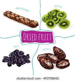 Dried fruits colorful illustration. Vector colorful illustration of dried fruits
