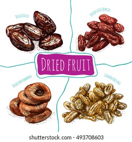 Dried fruits colorful illustration. Vector colorful illustration of dried fruits